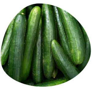 Concombre