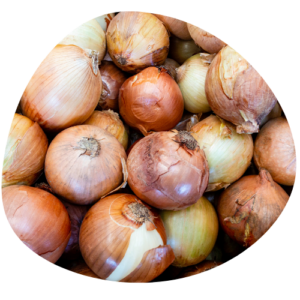 Oignons