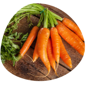 Carottes