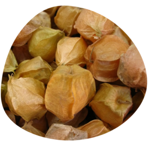 Cerises de terre