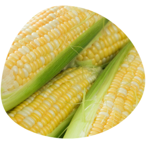Mais