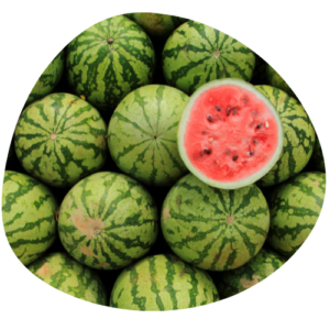 Melon d'eau